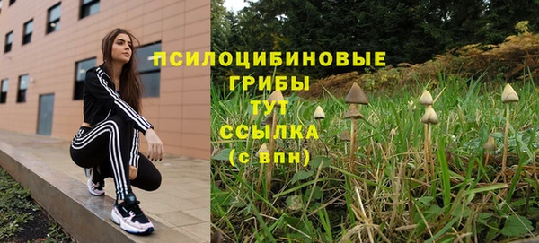 эйфоретик Аркадак