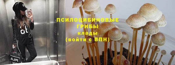 эйфоретик Аркадак