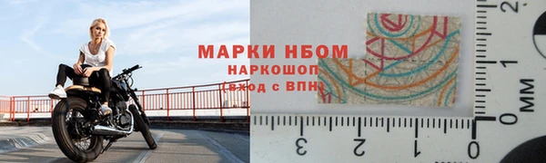 крисы Арсеньев
