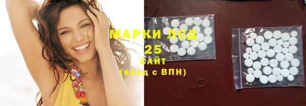 эйфоретик Аркадак