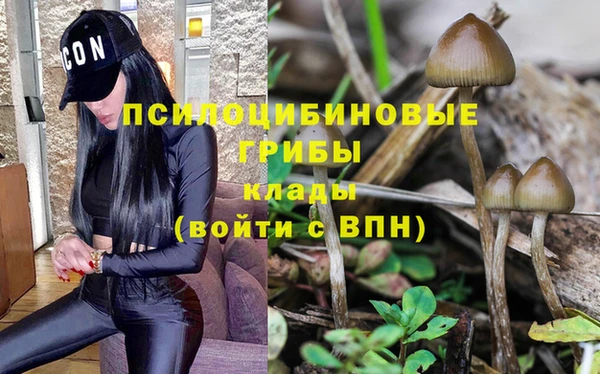 твердый Армянск