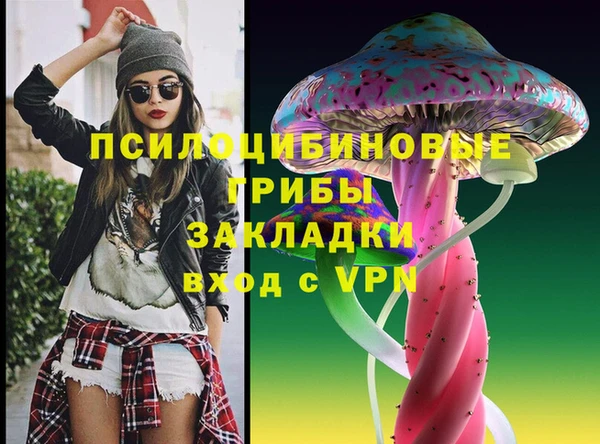 эйфоретик Аркадак